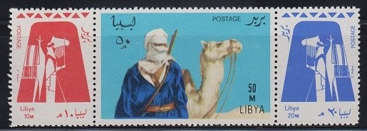 Nomads of the Sahara