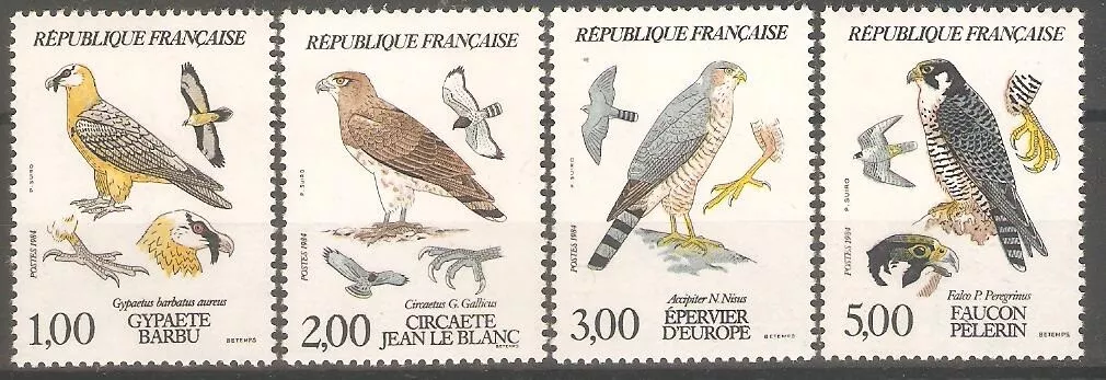 Birds of Prey