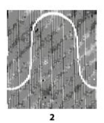 a close-up of a white line