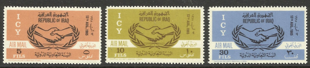 International Co-operation Year