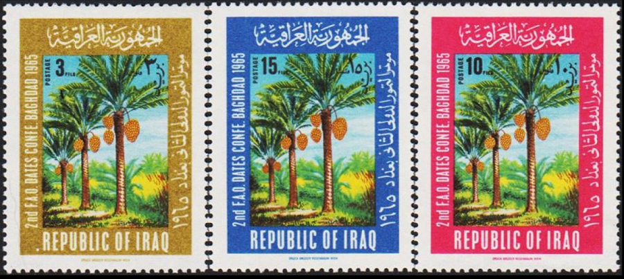 Iraq Date Palms